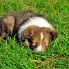 Playing is hard work!